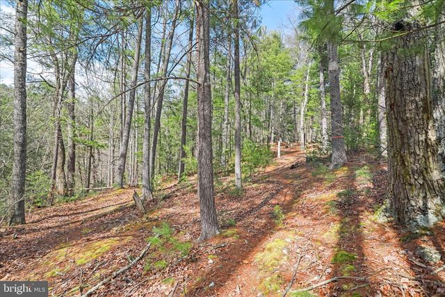 3699 WAITES RUN RD, Wardensville, WV 26851