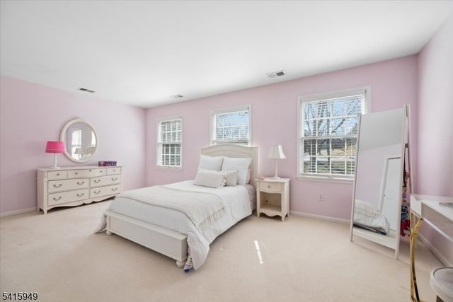 7 Robin Ct, Chester Twp., NJ 07930