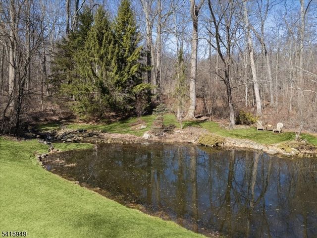 7 Robin Ct, Chester Twp., NJ 07930