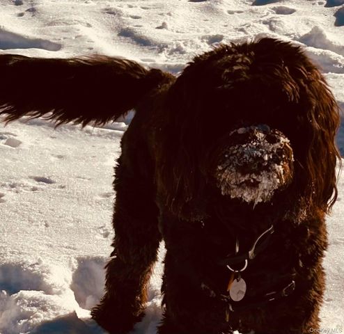 90 BRYANT Avenue Abby-1B, White Plains, NY 10605