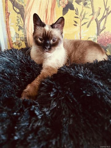 90 BRYANT Avenue Abby-1B, White Plains, NY 10605