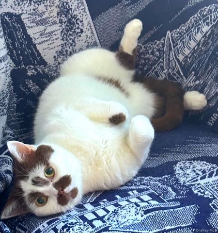 90 BRYANT Avenue Abby-1B, White Plains, NY 10605