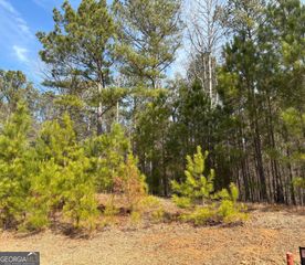 1330 Spinnaker Road, Buckhead, GA 30625