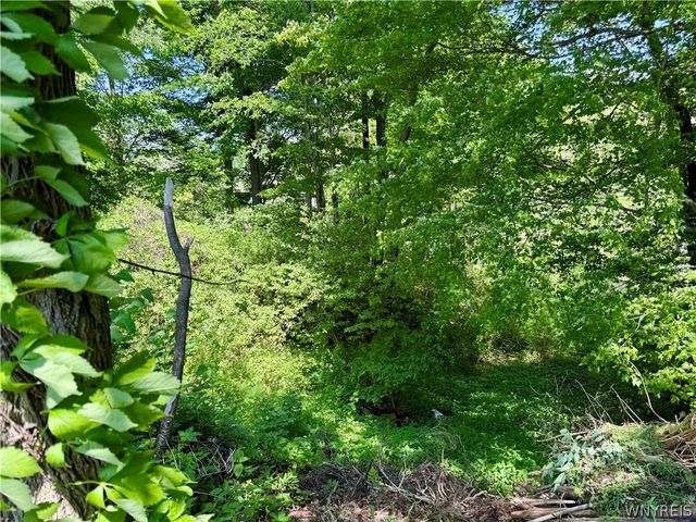1355 Brant North Collins Road, Brant, NY 14111