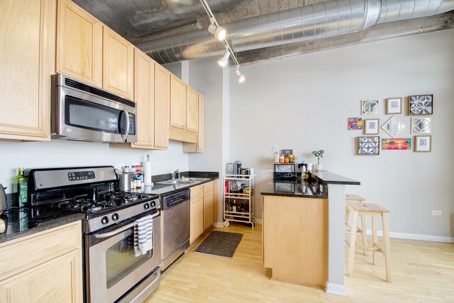 1550 S Blue Island Avenue 1111, Chicago, IL 60608