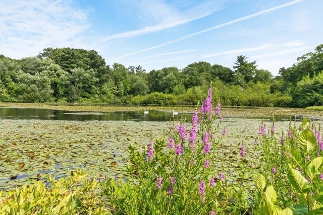 19 Old Diamond 19, Walpole, MA 02081