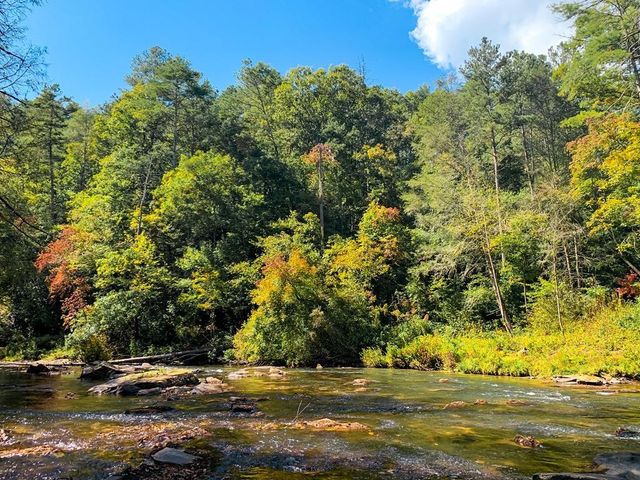 91 Edgewater Drive, Ellijay, GA 30540