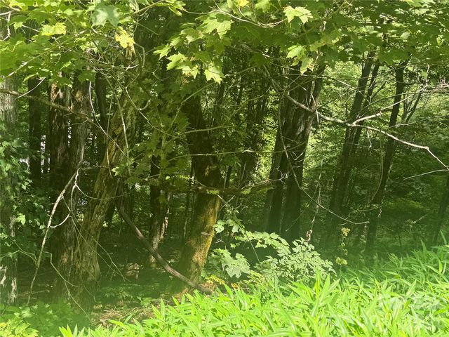 84 Goldenleaf Road, Mars Hill, NC 28754