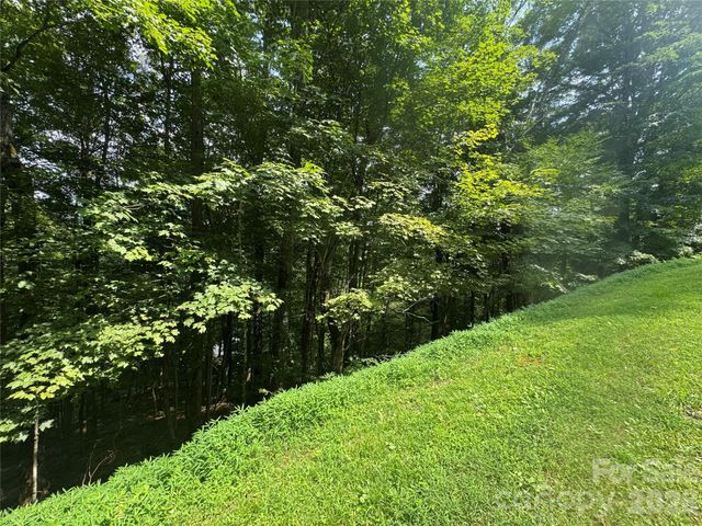 84 Goldenleaf Road, Mars Hill, NC 28754