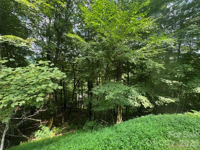 84 Goldenleaf Road, Mars Hill, NC 28754