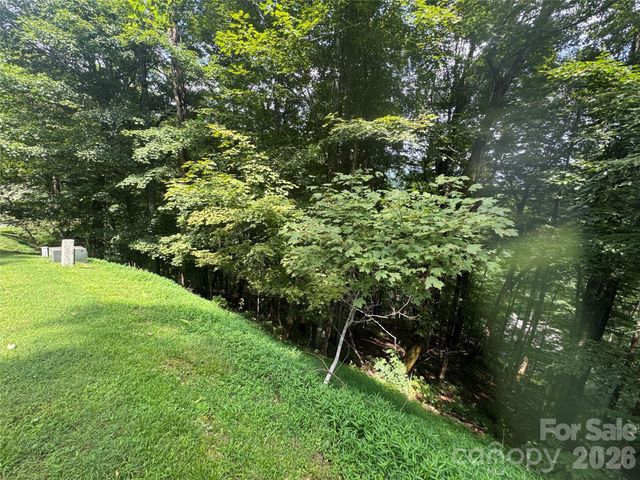 84 Goldenleaf Road, Mars Hill, NC 28754