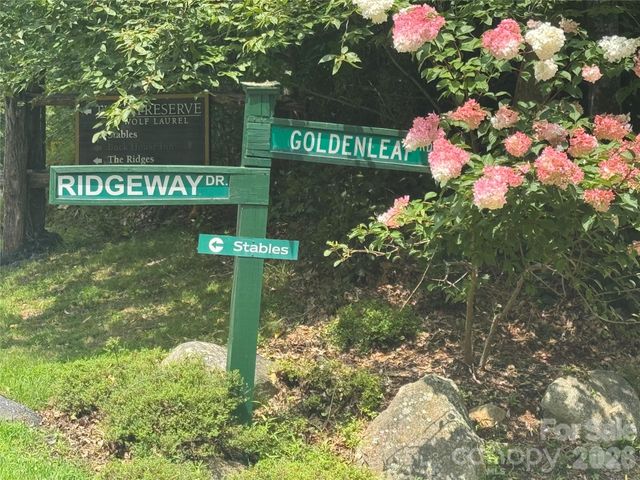 84 Goldenleaf Road, Mars Hill, NC 28754
