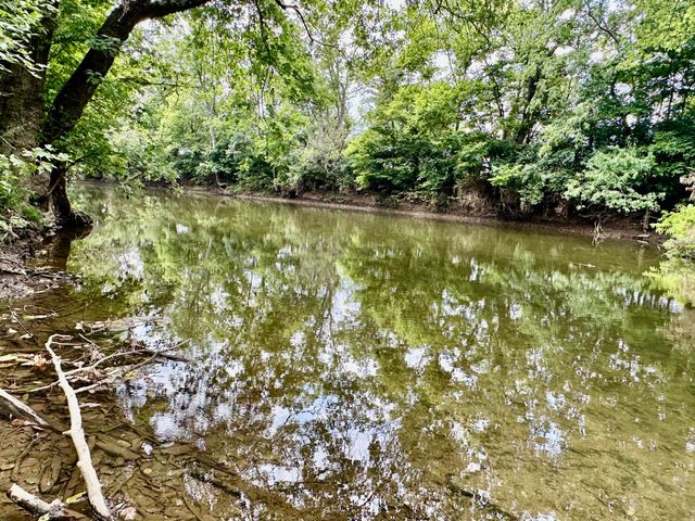 133 Treetop Court, Georgetown, KY 40324