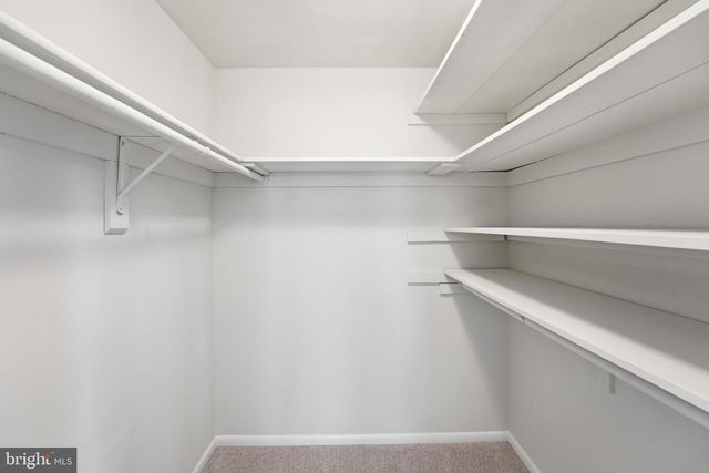 7803 FIELDCREST CT, Falls Church, VA 22042