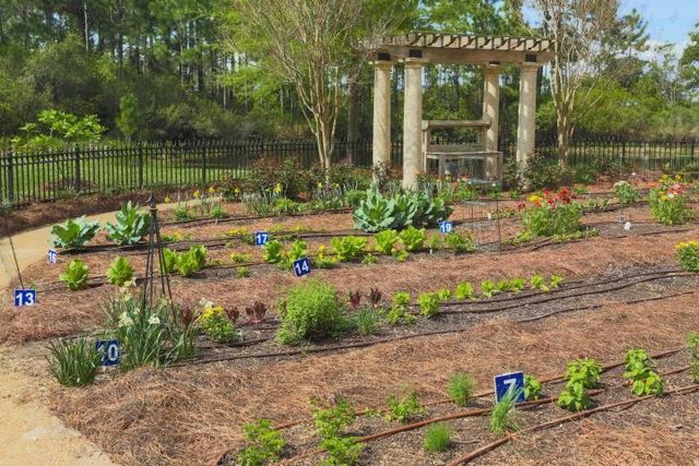 400 Kelly Plantation Drive 303, Destin, FL 32541