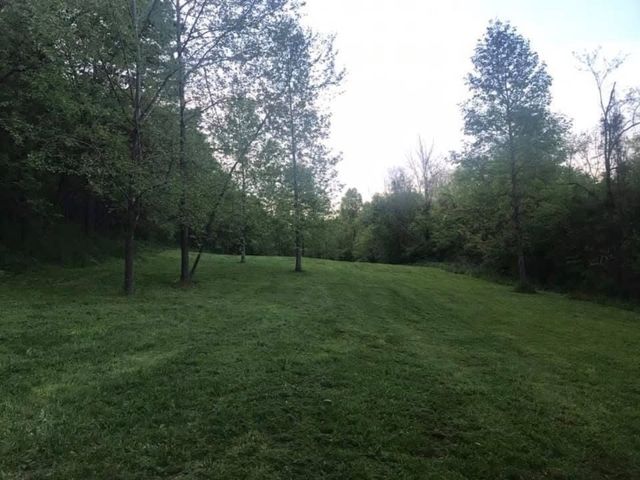 615 Rogues Fork Rd, Bethpage, TN 37022