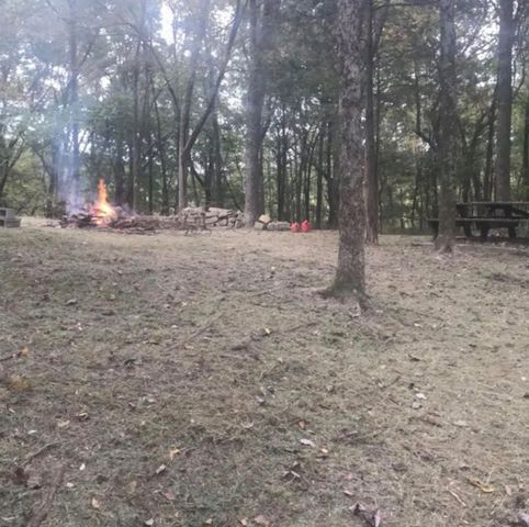 615 Rogues Fork Rd, Bethpage, TN 37022