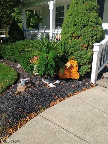 8330 Paddock Court, Mentor, OH 44060