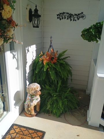 8330 Paddock Court, Mentor, OH 44060