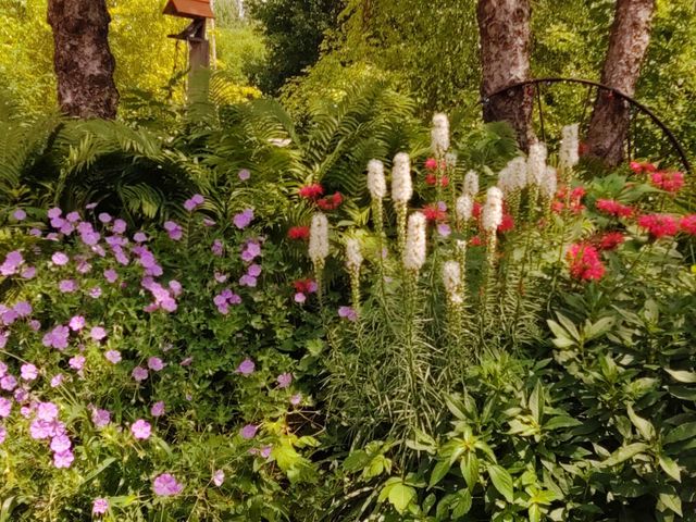 2945 County Road 4 SW 321, Cokato, MN 55321