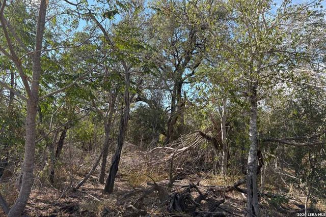 2 ACRES New Sulphur Springs Road, San Antonio, TX 78263