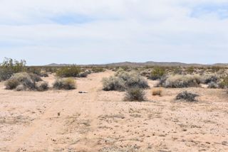 225th St E And Ave B8, High Vista, CA 93535