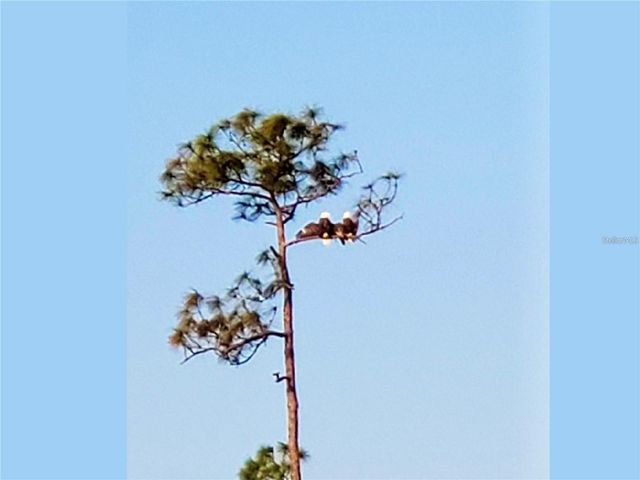 14049 BLACK BEAUTY DRIVE 711, Punta Gorda, FL 33955