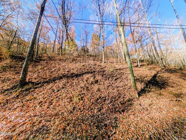 Lot 1272 Raymond Hollow Road, Sevierville, TN 37876