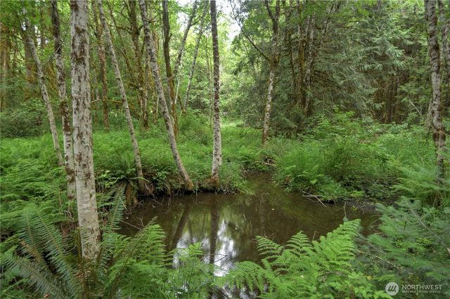 5283 SE Lynch Road, Shelton, WA 98584