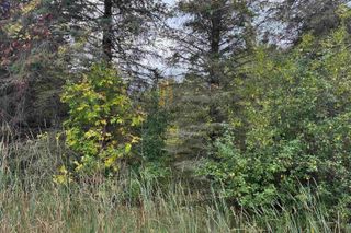 W Vienna Road, Montrose Twp, MI 48420