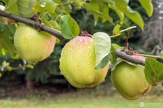 3951 S TYLER Road, Port Angeles, WA 98363