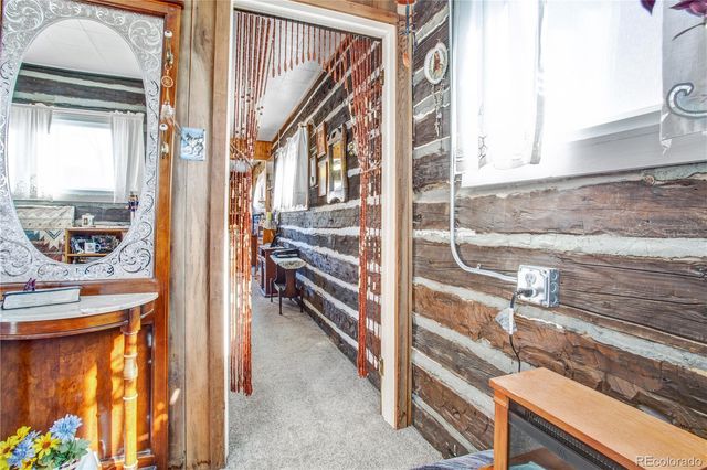 11425 County Road 197, Nathrop, CO 81236