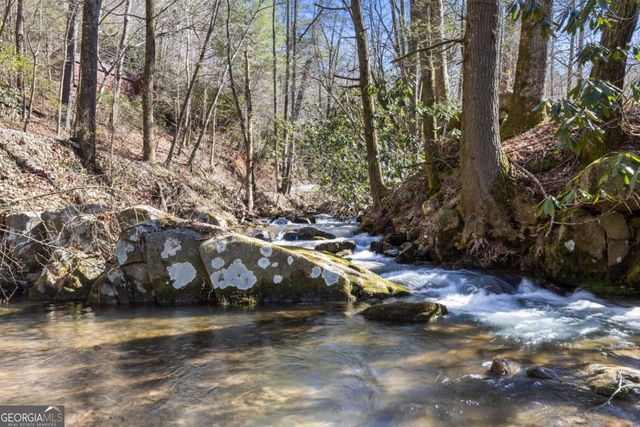 106 Little Rock Creek Road, Cherry Log, GA 30522