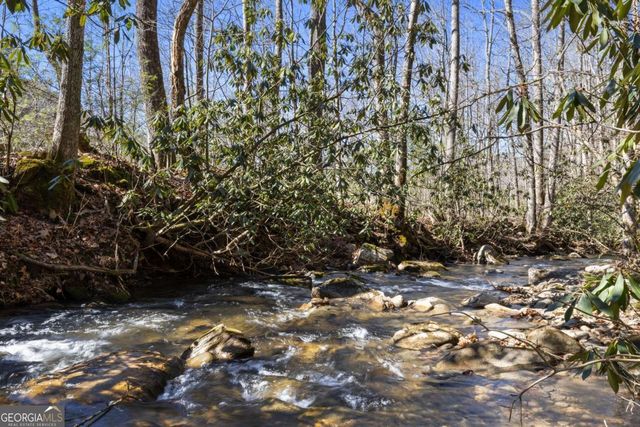 106 Little Rock Creek Road, Cherry Log, GA 30522