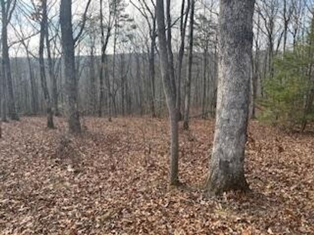 214 Gray Creek Road, Graysville, TN 37338