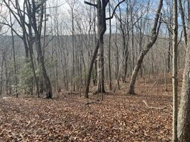214 Gray Creek Road, Graysville, TN 37338
