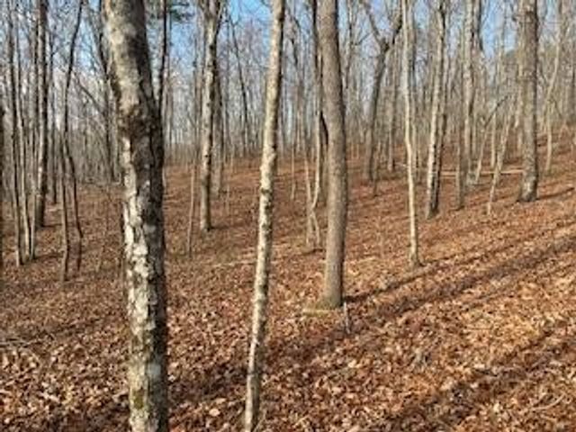 214 Gray Creek Road, Graysville, TN 37338