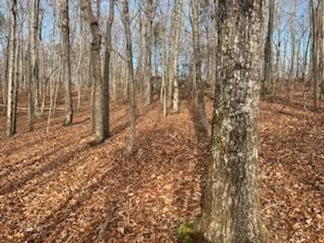 214 Gray Creek Road, Graysville, TN 37338