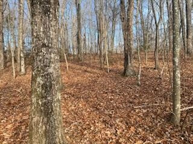 214 Gray Creek Road, Graysville, TN 37338