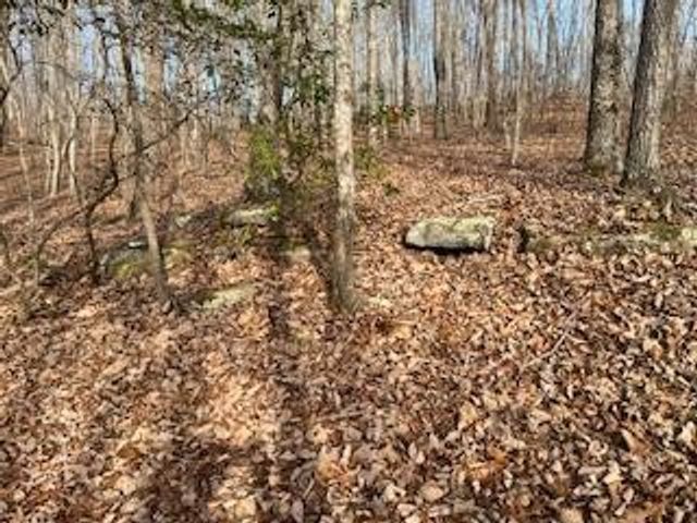 214 Gray Creek Road, Graysville, TN 37338