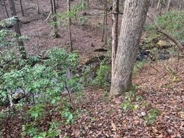 214 Gray Creek Road, Graysville, TN 37338