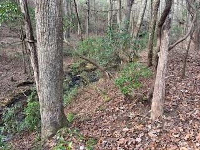 214 Gray Creek Road, Graysville, TN 37338