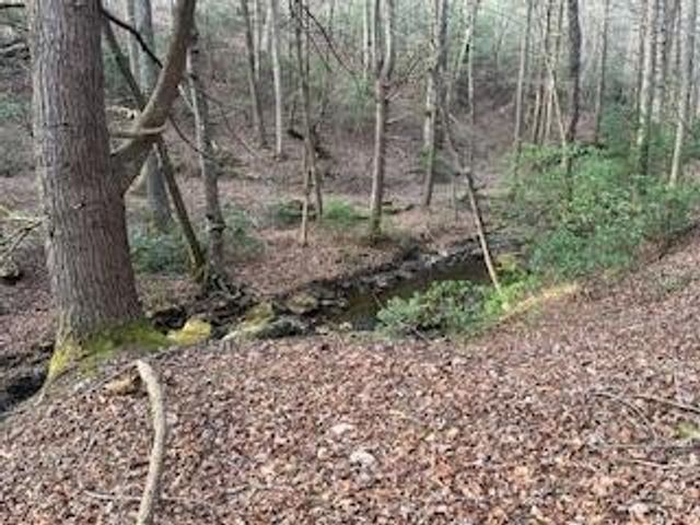 214 Gray Creek Road, Graysville, TN 37338