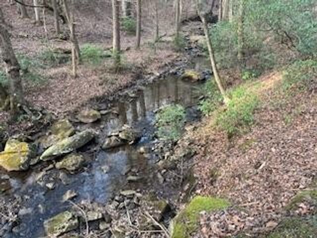 214 Gray Creek Road, Graysville, TN 37338