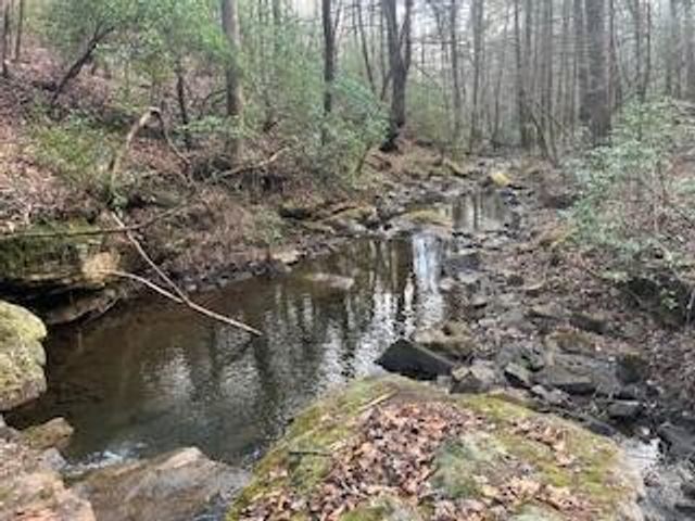 214 Gray Creek Road, Graysville, TN 37338