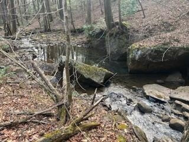 214 Gray Creek Road, Graysville, TN 37338
