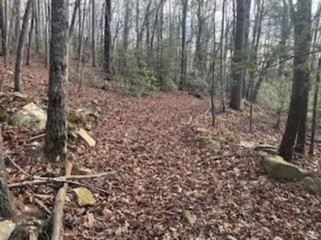 214 Gray Creek Road, Graysville, TN 37338