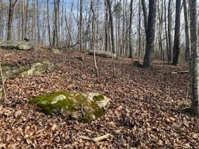 214 Gray Creek Road, Graysville, TN 37338