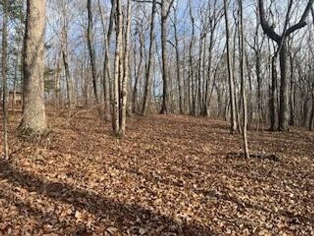 214 Gray Creek Road, Graysville, TN 37338