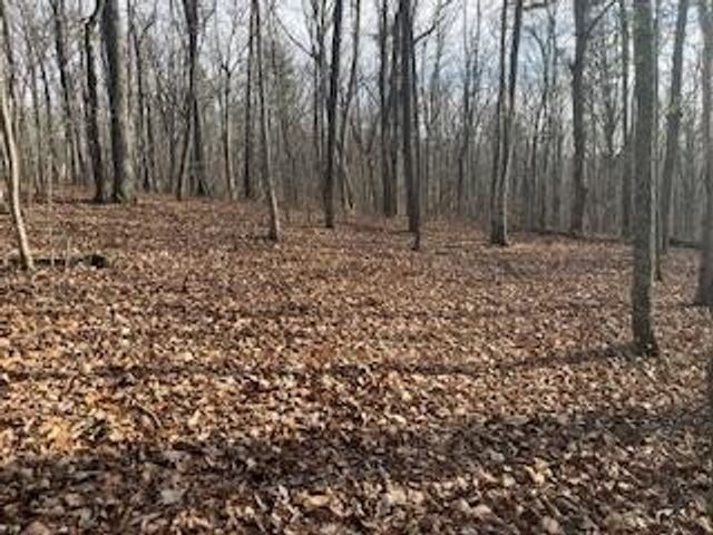 214 Gray Creek Road, Graysville, TN 37338